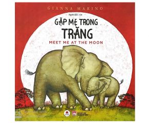 Gặp mẹ trong trăng