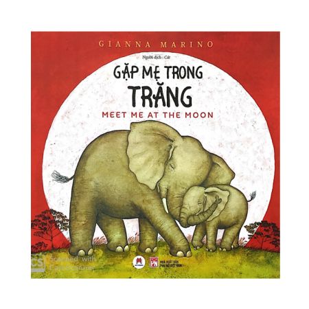Gặp mẹ trong trăng