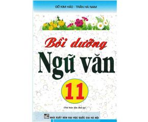 Bồi dưỡng ngữ văn Lớp 11